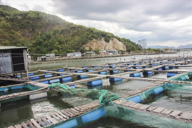 Đắk Lắk dự kiến khoảng 1.000 thuê bao di động nhận tin nhắn kết quả quan trắc cảnh báo môi trường tại một số vùng nuôi trồng thủy sản